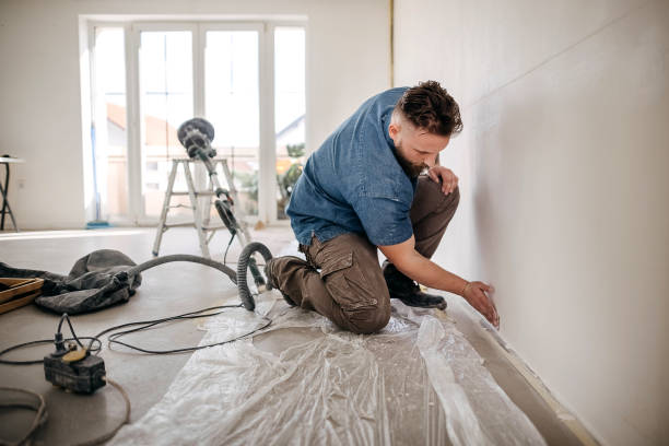 Best Ceiling Drywall Installation  in Potosi, MO